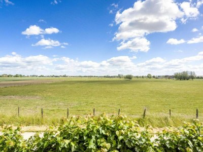 Apartment Apartment in Essen with Garden Terrace - Environment photo 30