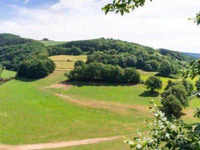 Apartment Apartment in Essen mit Balkon und Garten - Environment photo 27