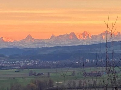 Apartment Apartment in Essen mit Balkon und Garten - Environment photo 32