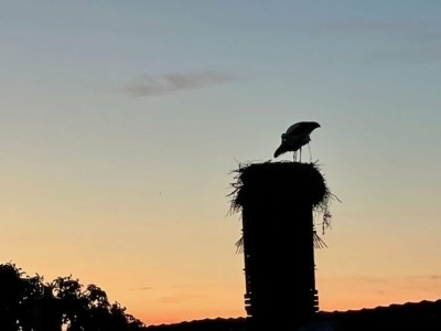 Apartment Ferienidyll in Gielow an der Seenplatte - Environment photo 18