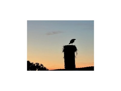 Apartment Ferienidyll in Gielow an der Seenplatte - Outdoor photo 25