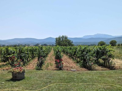 Holiday house Holiday house Kuca za odmor Rade - Environment photo 38