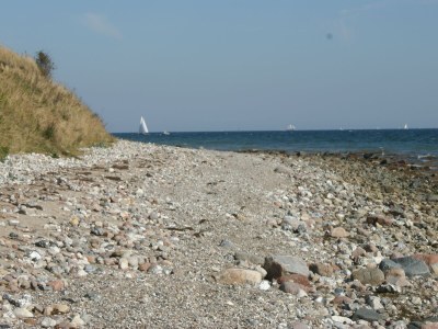 Holiday apartment Alte Diele Osterbyholz - Environment photo 22