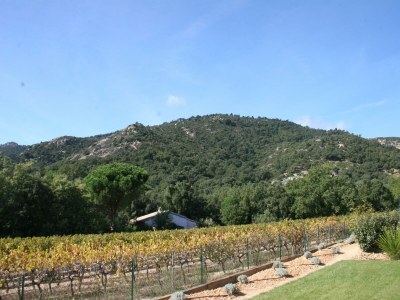 Holiday house Villa in Plan-de-la-Tour with Pool & Vineyard Views - Outdoor photo 6