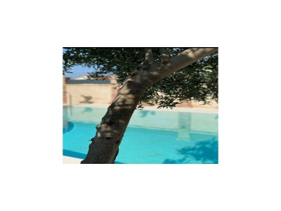 Villa Villa Stalla with Swimming Pool - Outdoor photo 17