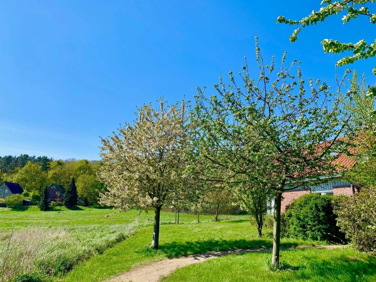 Holiday house Ferienhaus Müritzzeit in Röbel an der Müritz - Outdoor photo 5