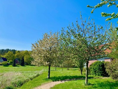 Holiday house Ferienhaus Müritzzeit in Röbel an der Müritz - Outdoor photo 5