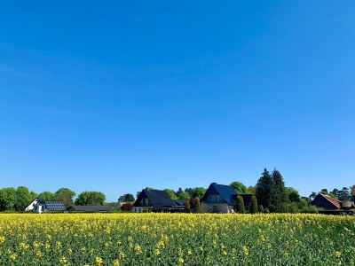 Holiday house Ferienhaus Müritzzeit in Röbel an der Müritz - Environment photo 21
