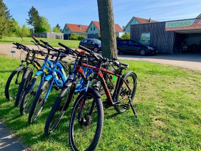 Holiday house Ferienhaus Müritzzeit in Röbel an der Müritz - Outdoor photo 29