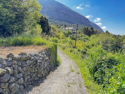 Villa Villa Kety Makarska - Outdoor photo 17