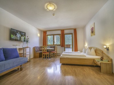 Apartment Wohnung Neustift nahe Stubai Gletscher - Features photo 12