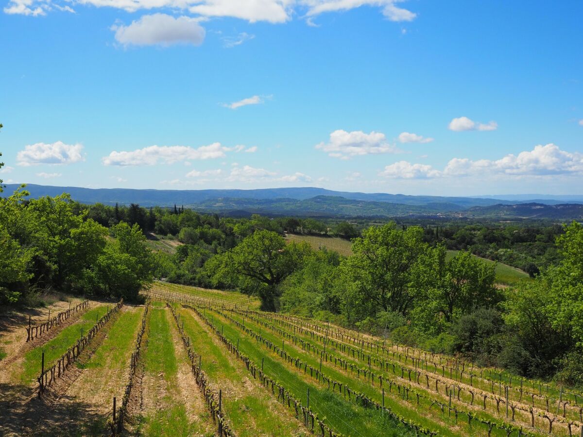 Holiday house Ferienhaus in Provence am Mont Ventoux - Outdoor photo 4