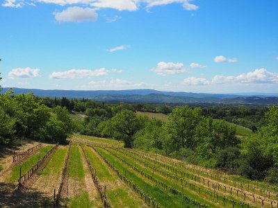 Holiday house Ferienhaus in Provence am Mont Ventoux - Outdoor photo 4