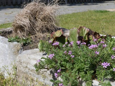 Holiday house Beachside Getaway with Garden & barbecue - Environment photo 35
