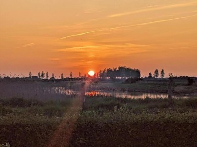 Holiday house Beachside Getaway with Garden & barbecue - Environment photo 38