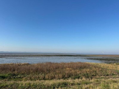 Holiday house Beachside Getaway with Garden & barbecue - Environment photo 39