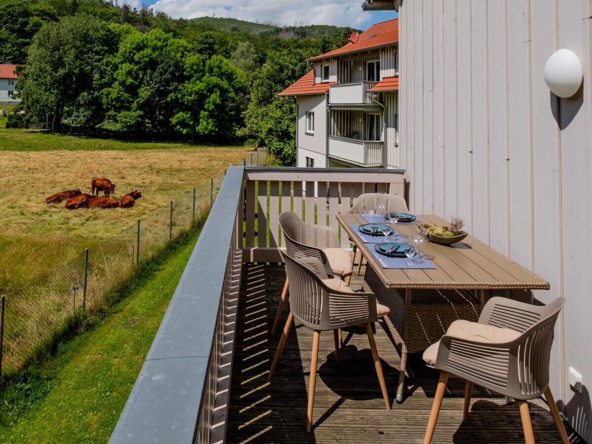 Holiday apartment Zanthierhaus am Ilsestein - Outdoor photo 3