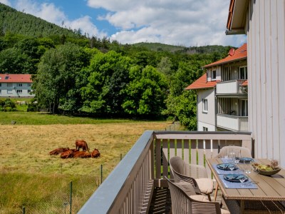 Holiday apartment Zanthierhaus am Ilsestein - Outdoor photo 4