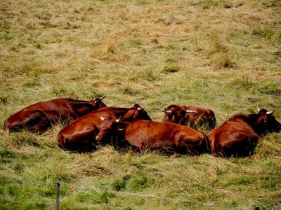 Holiday apartment Zanthierhaus am Ilsestein - Outdoor photo 6