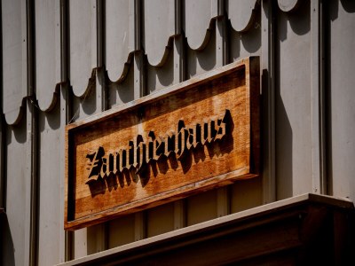 Holiday apartment Zanthierhaus am Ilsestein - Outdoor photo 7