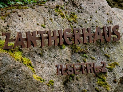 Holiday apartment Zanthierhaus am Ilsestein - Outdoor photo 8