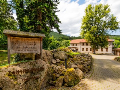 Holiday apartment Zanthierhaus am Ilsestein - Outdoor photo 10
