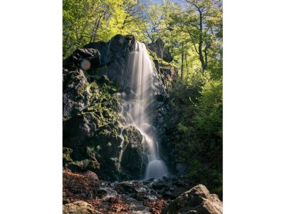 Holiday apartment Zanthierhaus am Ilsestein - Environment photo 30