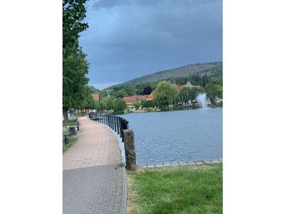 Holiday apartment Zanthierhaus am Ilsestein - Environment photo 35