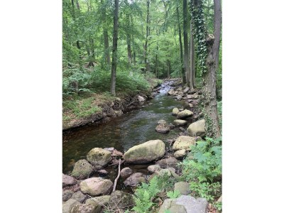 Holiday apartment Zanthierhaus am Ilsestein - Environment photo 36