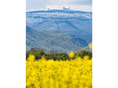 Holiday apartment Zanthierhaus am Ilsestein - Environment photo 39