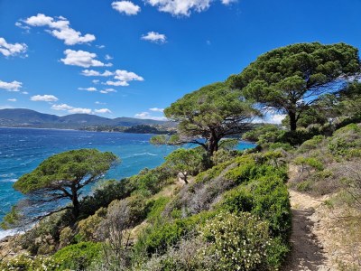 Villa Micoline - Environment photo 21