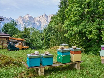 Holiday apartment Miramonte Dolomiti - Environment photo 27