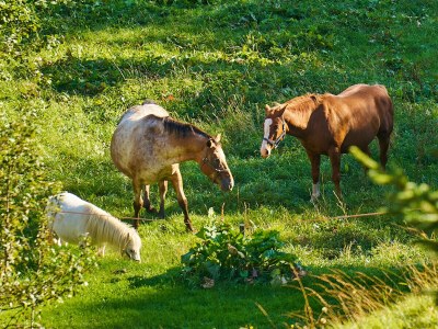Holiday apartment Miramonte Dolomiti - Environment photo 28