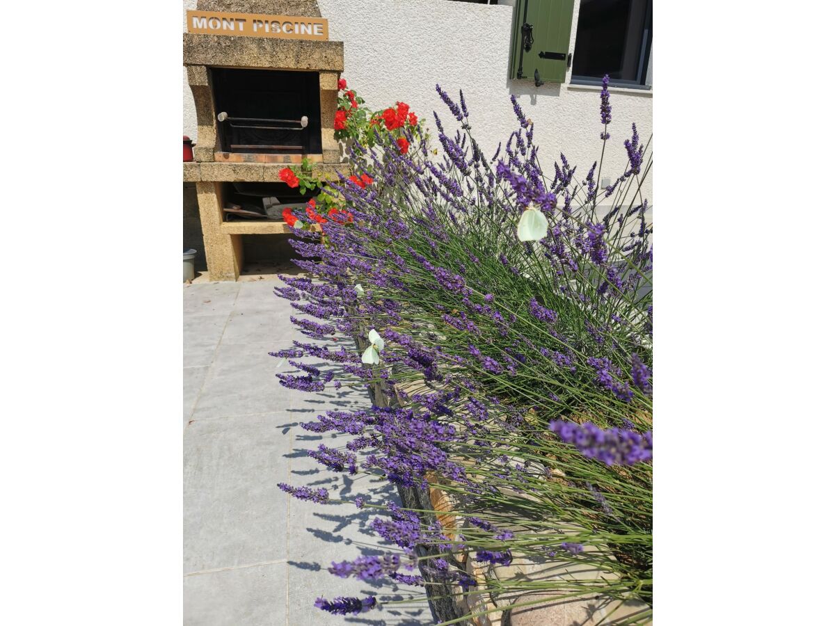 Villa Villaliba - Outdoor photo 4