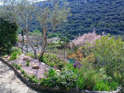 Villa Villaliba - Outdoor photo 5