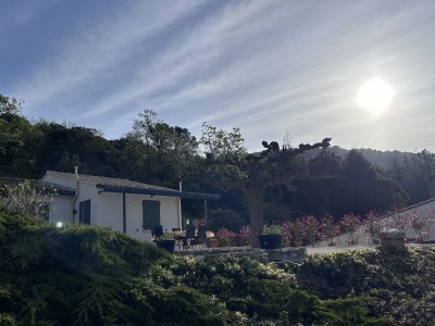 Villa Villaliba - Environment photo 38