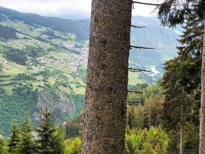 Apartment Wohnung Hochgallmigg nahe Skipisten - Environment photo 28