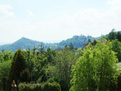 Bungalow Comfort Near Castle Views - Outdoor photo 15