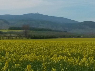 Bungalow Comfort Near Castle Views - Environment photo 27