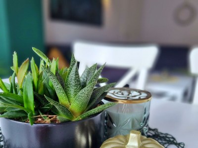 Apartment the tiny harmony, 2-Bett-Wohnung - Outdoor photo 23