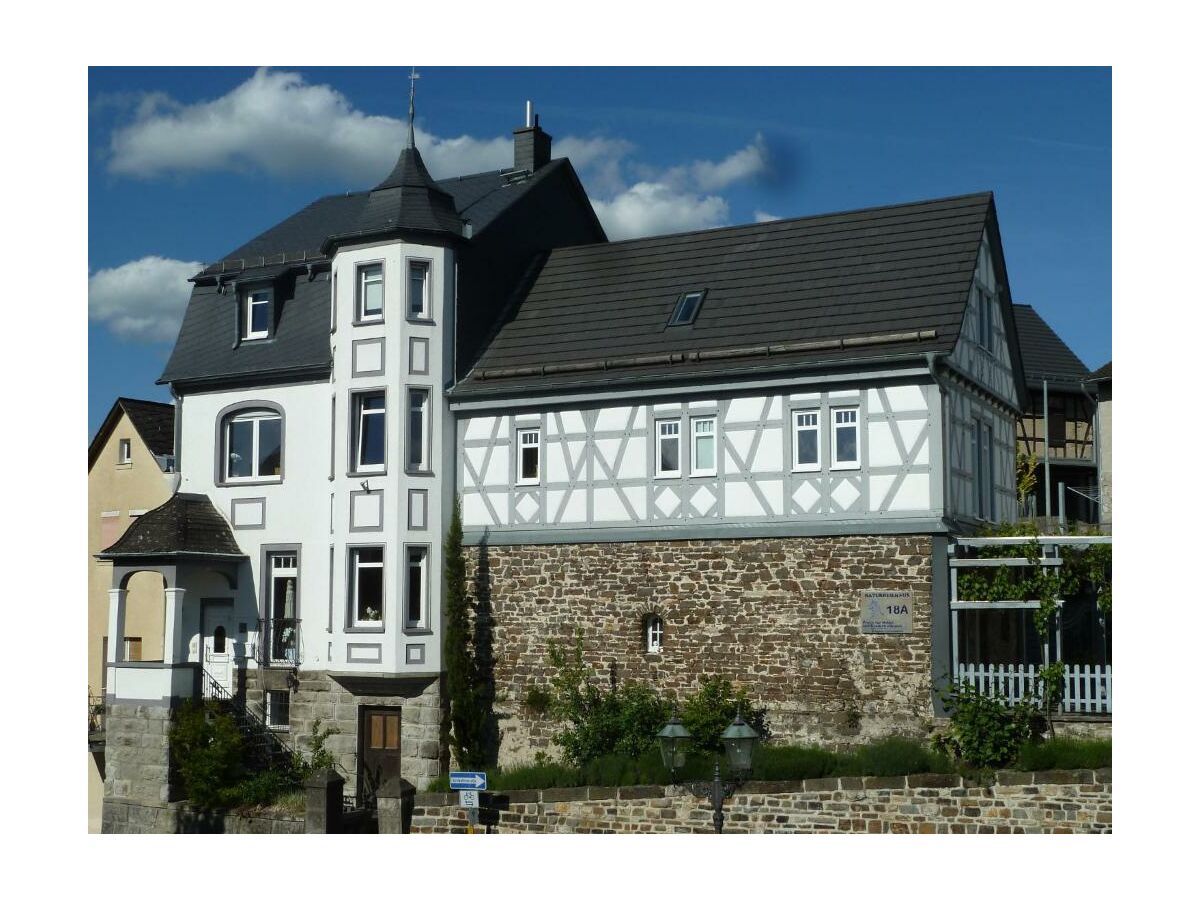 Apartment Appartement Orchidee - Wohn-/Schlafraum