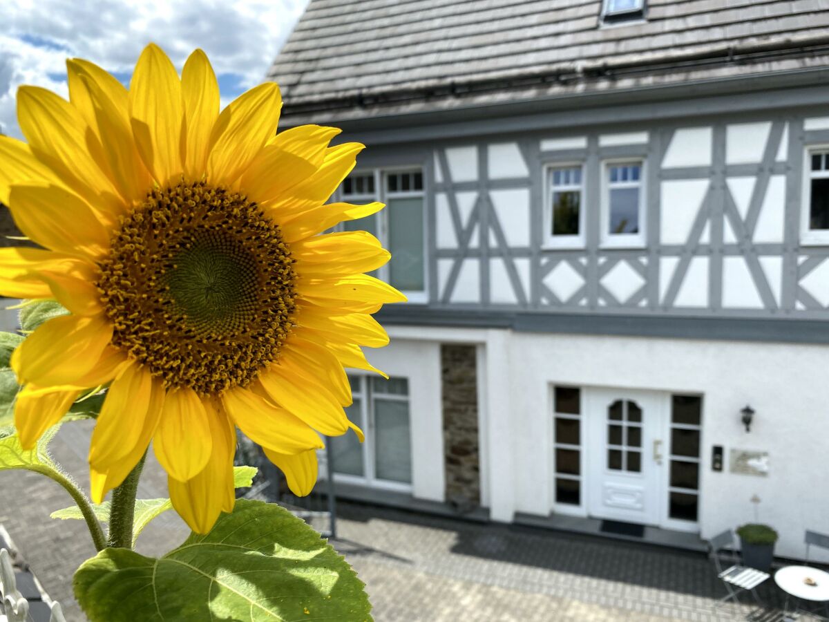 Apartment Appartement Orchidee - Wohn-/Schlafraum - Outdoor photo 4