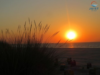 Holiday apartment 272 - Wohnung Leuchtturm - Environment photo 23