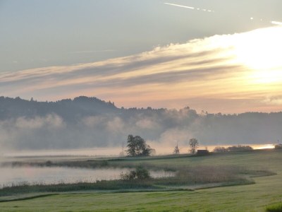 Holiday apartment “Gipfelglück” - Environment photo 14