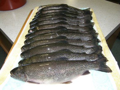 Holiday house Romantic House Family Leitner - Environment photo 19