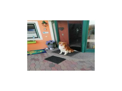 Apartment Apartment Neukirchen near Ski Slopes - Outdoor photo 30