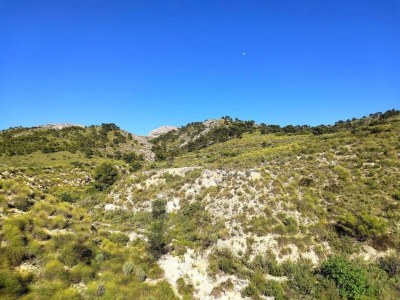 Villa Villa in Fortuna mit privatem Pool - Environment photo 28