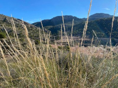 Villa Villa in Fortuna mit privatem Pool - Environment photo 34