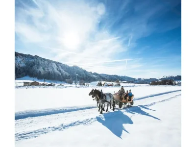 Apartment Apartment in Radstadt near Ski Amadé - Environment photo 10