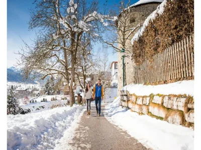 Apartment Apartment in Radstadt near Ski Amadé - Environment photo 14
